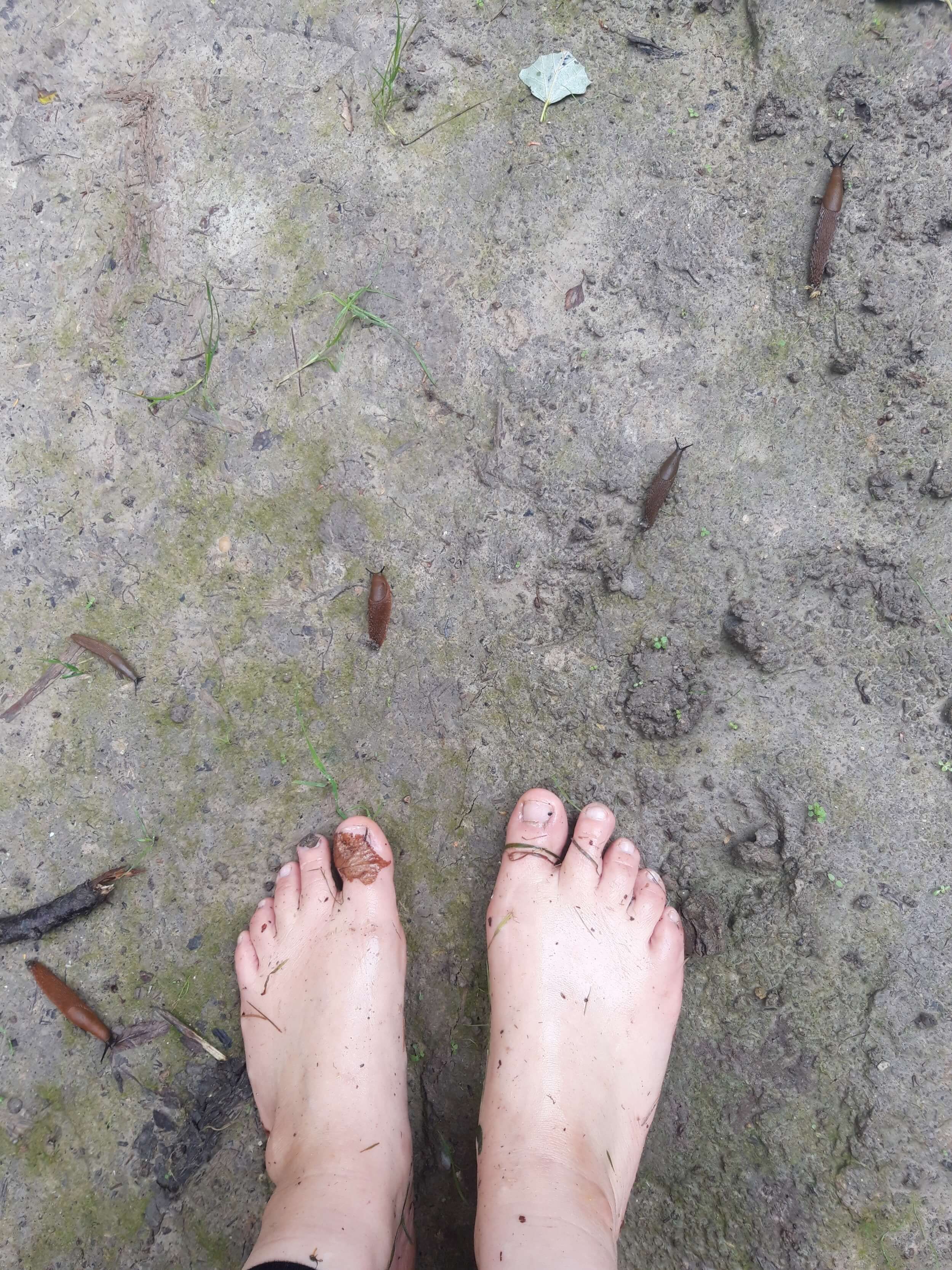 Bild_Libellengrund_Füße