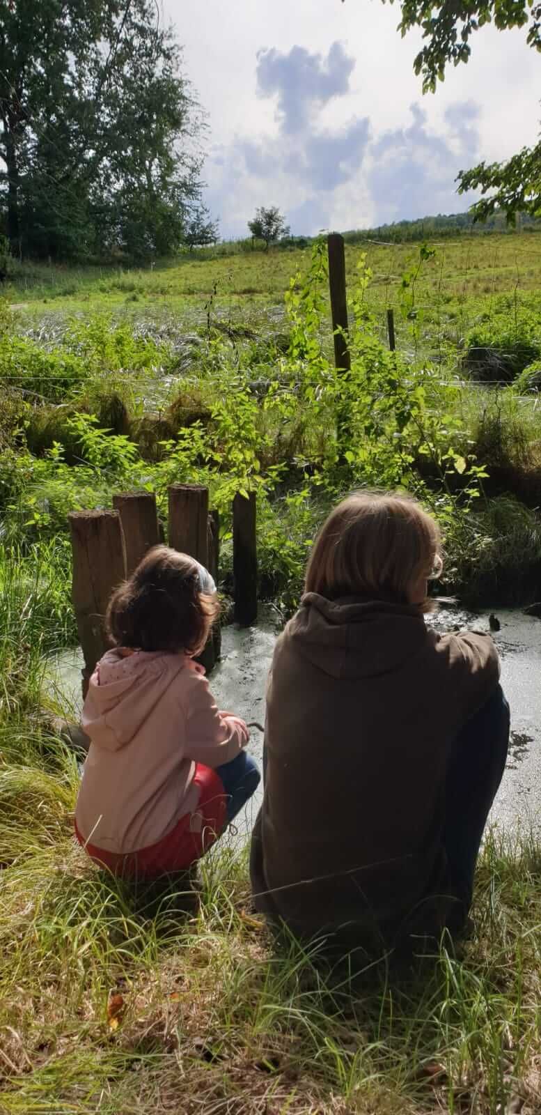 Bild_Libellengrund_Tümpel2