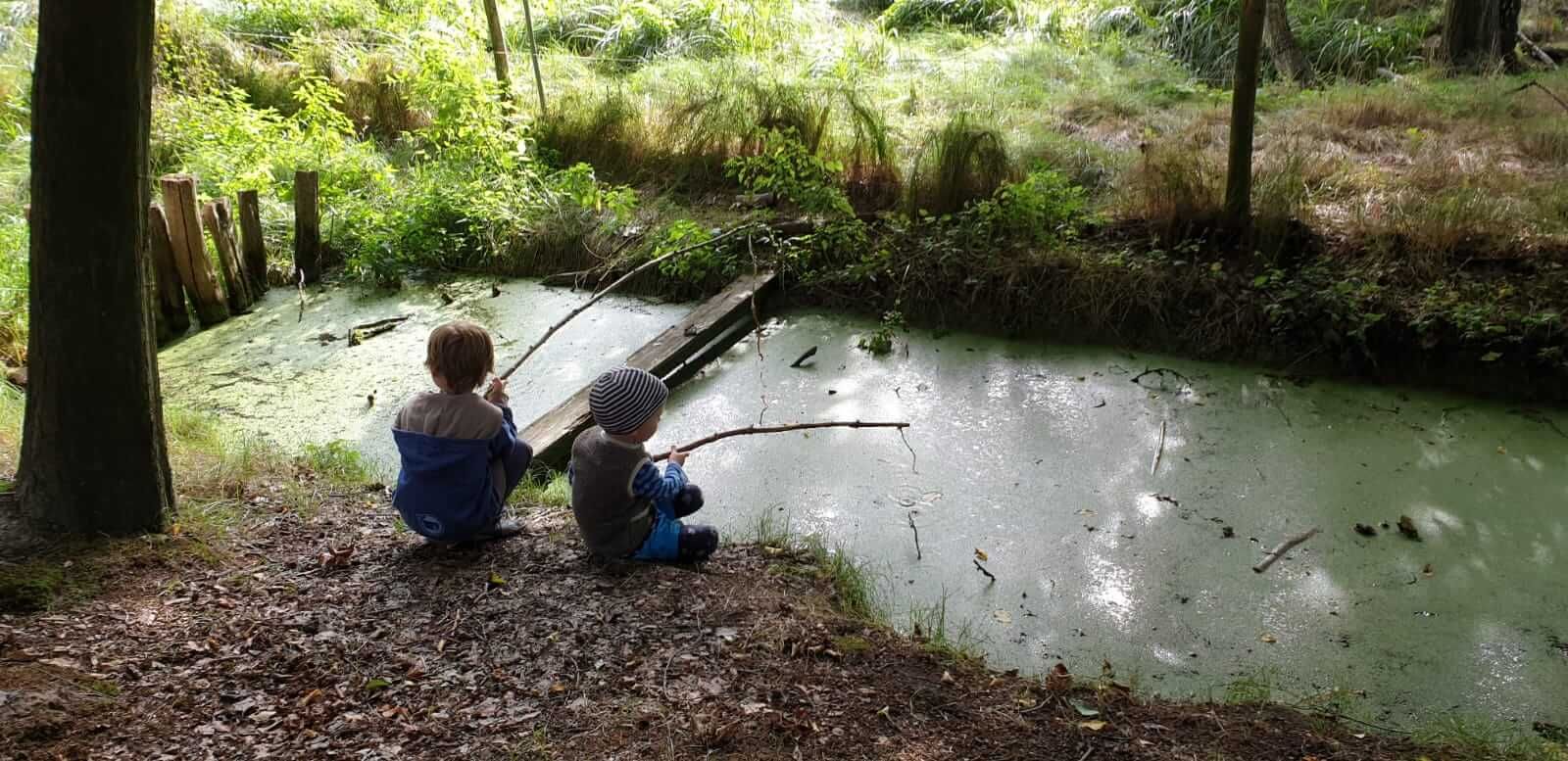 Bild_Libellengrund_Tümpel4