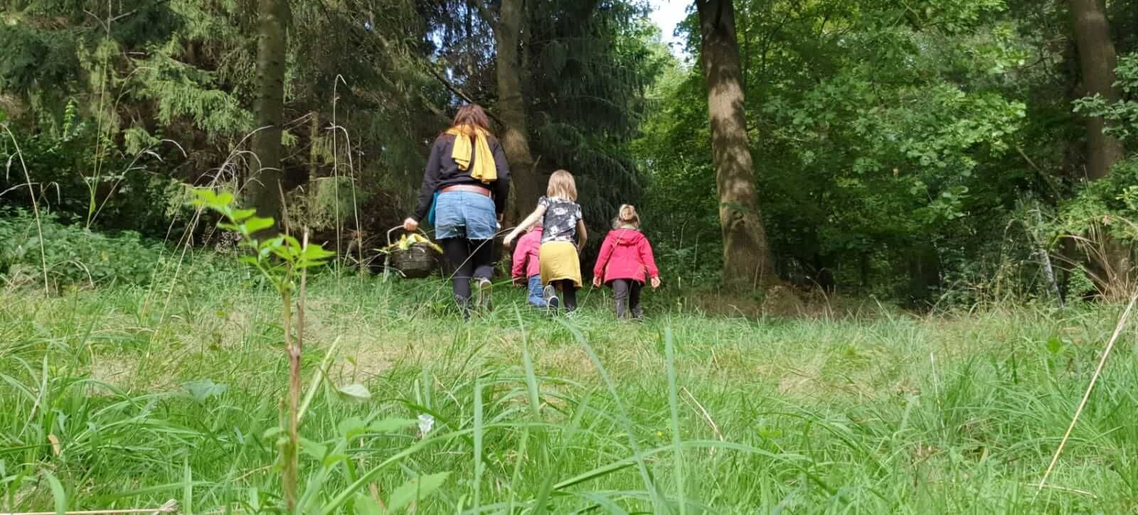 Bild_Libellengrund_Spaziergang