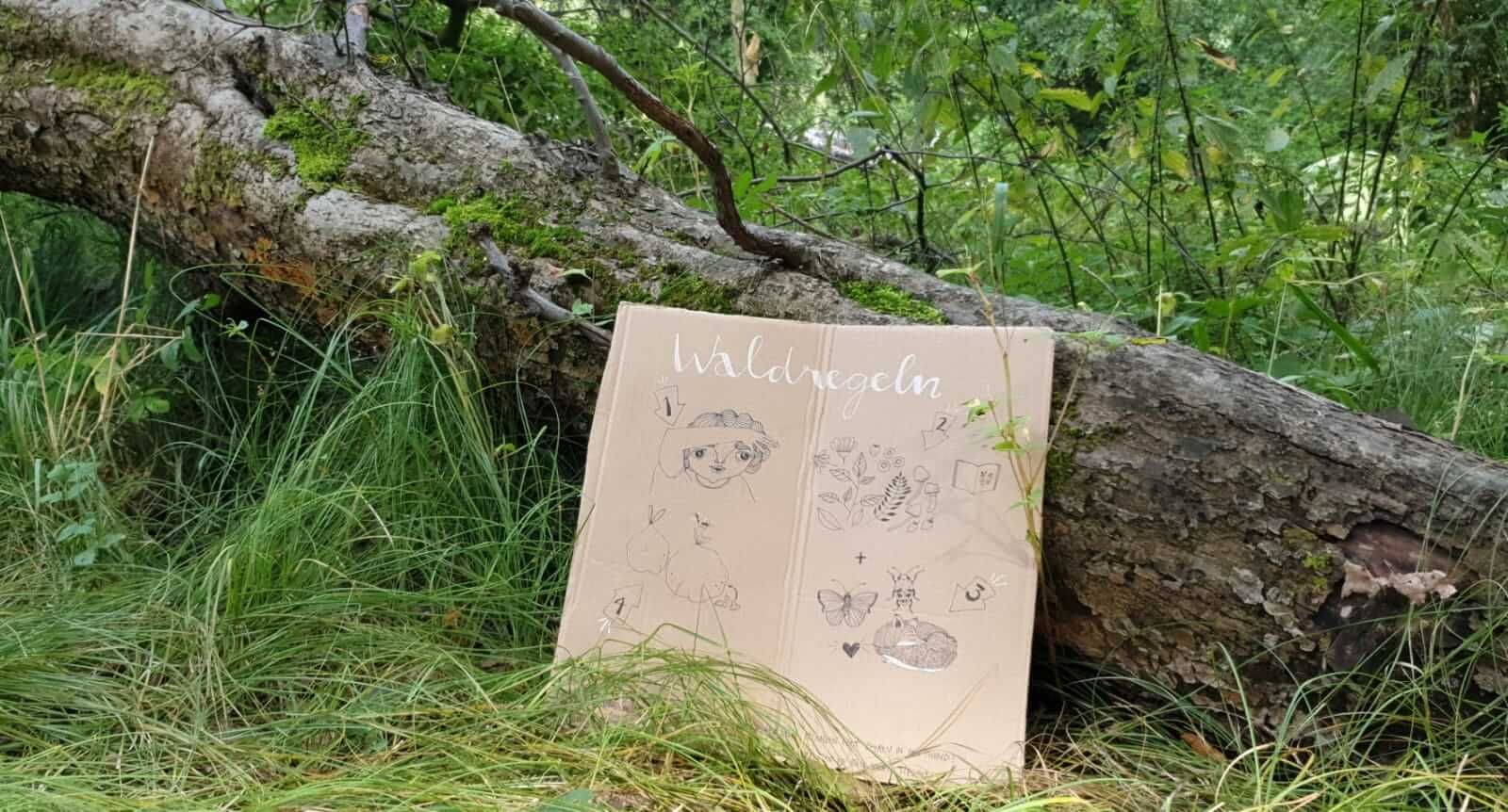 Bild_Libellengrund_Ast