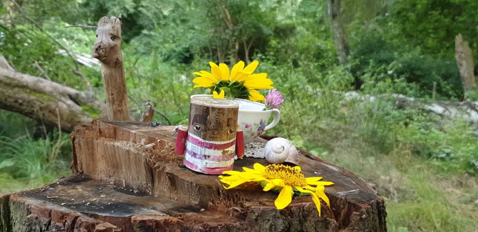 Bild_Libellengrund_Baumstamm