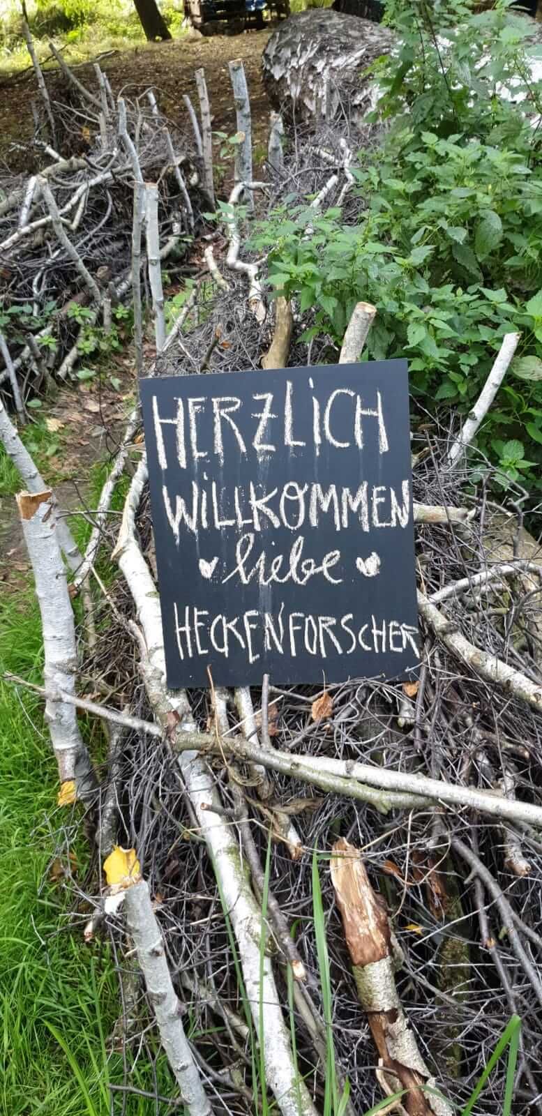 Bild_Libellengrund_Äste