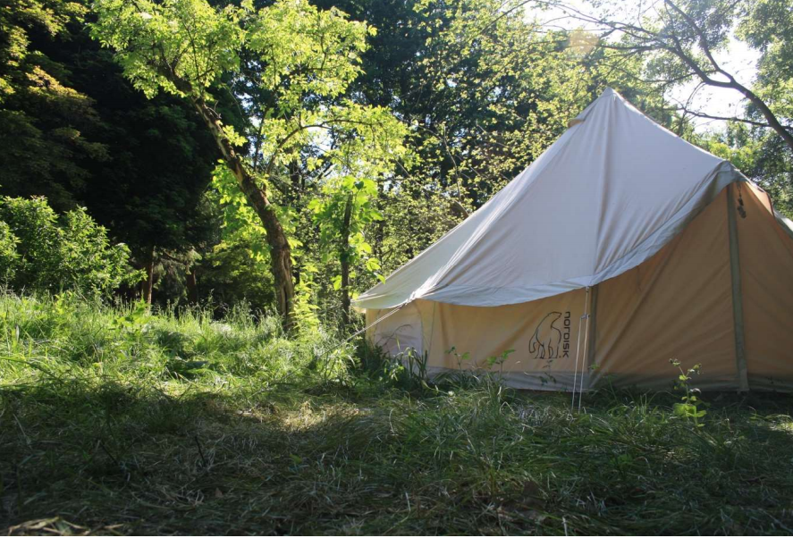 Bild_Libellengrund_Zelt2