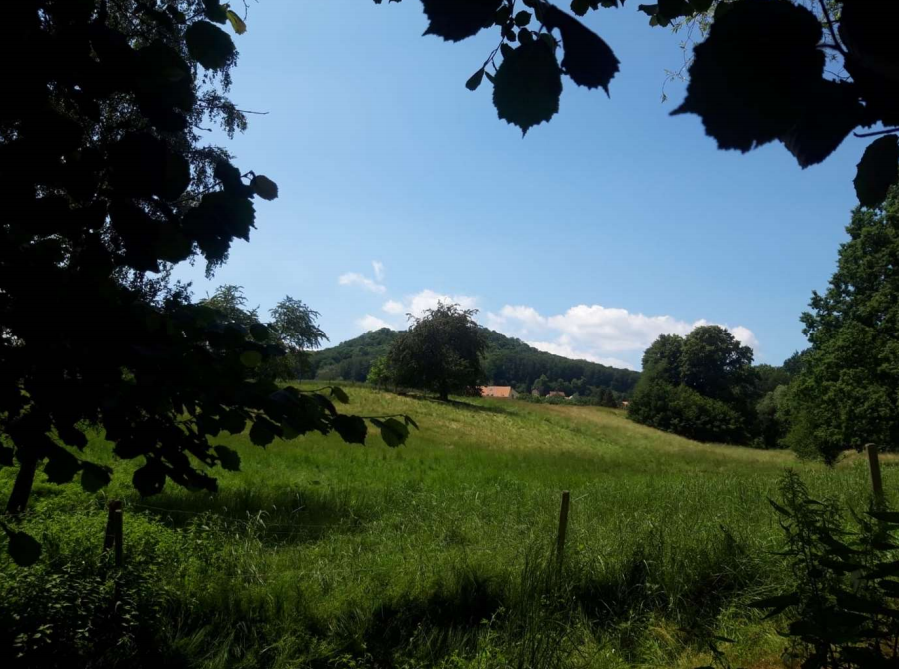 Bild_Libellengrund_Fernblick